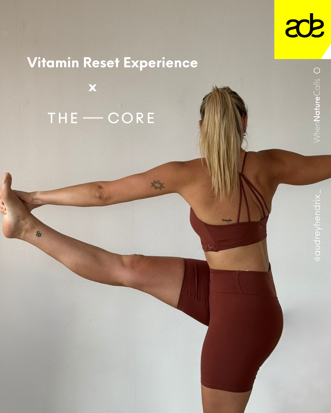 Vitamin Reset Experience