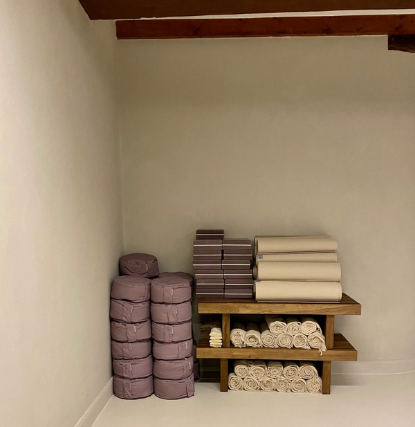 Yin + Somatic IFS + Blue Lotus Cacao