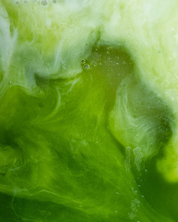 Ayurvedic Movement Class + matcha clouds